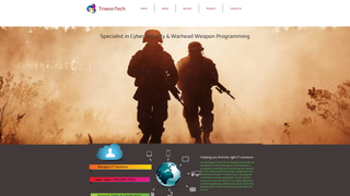 Thumbnail of triwontech.com