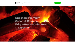 Thumbnail of briqshop.com