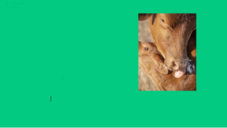 Thumbnail of resilientfoodpartners.com