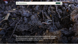 Thumbnail of shambasense.com