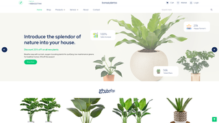 Thumbnail of bonsaiplantss.com