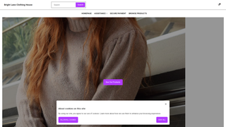 Thumbnail of brightlaneclothinghouse.com