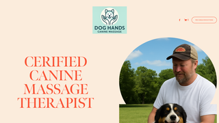 Thumbnail of doghandsmassage.net