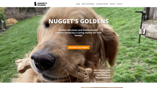Thumbnail of nuggettsgoldens.com