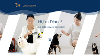 Thumbnail of chaihappyforyou.com