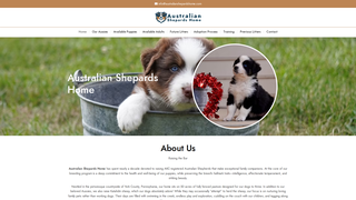 Thumbnail of australianshepardshome.com
