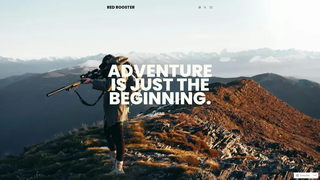 Thumbnail of redroosterusa.com
