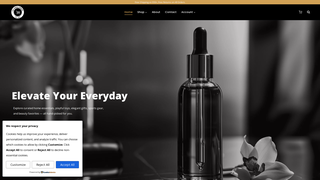 Thumbnail of thetradingcompanyus.com
