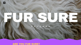 Thumbnail of surefur.com
