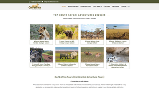 Thumbnail of catsafricatours.com
