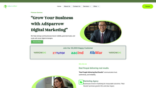 Thumbnail of adsparrowdigital.com