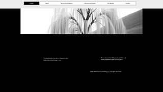 Thumbnail of willowrootconsulting.com