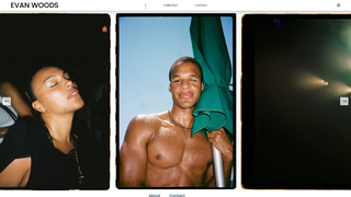 Thumbnail of ewoodsy.com