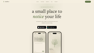 Screenshot of calmflect.com