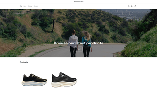 Thumbnail of dscostore.com