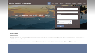Thumbnail of diligenttax.com