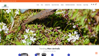 Thumbnail of powerlawnparts.com