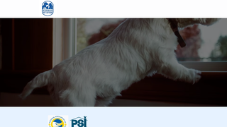 Thumbnail of bluegrasspetsitters.com