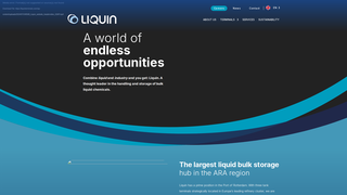 Thumbnail of liquinterminals.com