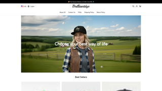 Thumbnail of brilliantdye.com