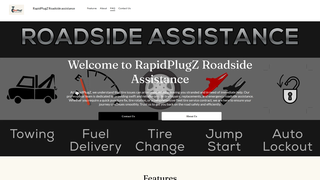 Thumbnail of rapidplugz.com