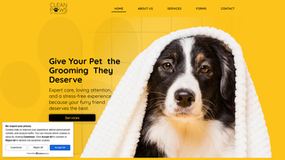 Thumbnail of cleanpawsvd.com