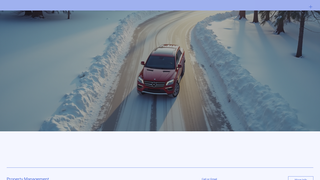 Thumbnail of diamondsnow307.com