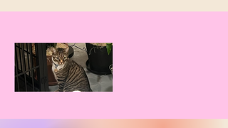 Thumbnail of rosebudsgrooming.com