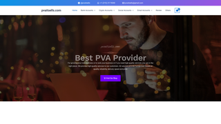 Thumbnail of pvaitsells.com