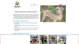 Thumbnail of adoptcanecorso.com