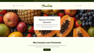Thumbnail of plumiventa.com