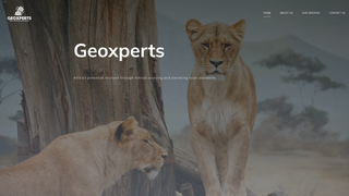 Thumbnail of geoxpertsafrica.com