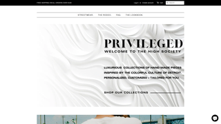 Thumbnail of privilegeddetroit.com