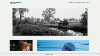 Thumbnail of perryvandersteen.com