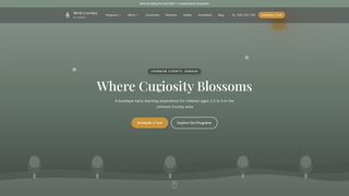 Screenshot of birchlearningacademy.com