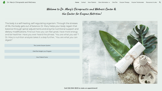Thumbnail of drmaryschiroandwellness.com