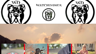 Thumbnail of watchdawgs.net