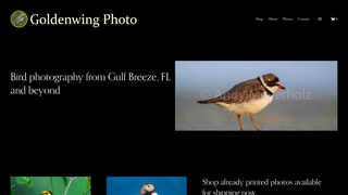 Thumbnail of goldenwingphoto.com