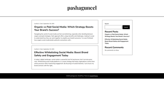 Thumbnail of pashaguncel.com