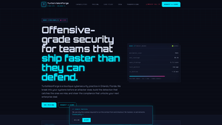 Screenshot of turbovisionforge.com