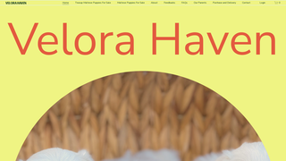 Thumbnail of velorahavenhome.com