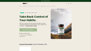 Thumbnail of selfct.com