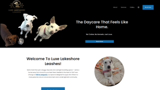 Thumbnail of luxelakeshoreleashes.com