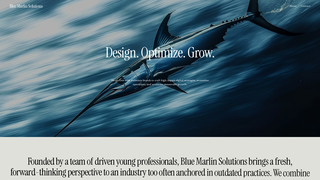 Thumbnail of bluemarlinsolutions.net