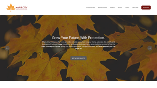 Screenshot of maplecityinsuranceservices.com