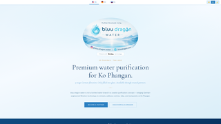 Screenshot of bluudragon.com
