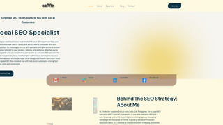Thumbnail of aamelocalseo.com