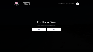 Thumbnail of theflammteam.com