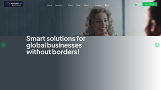 Thumbnail of higlobal360.com