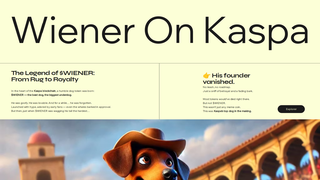 Thumbnail of wieneronkaspa.com